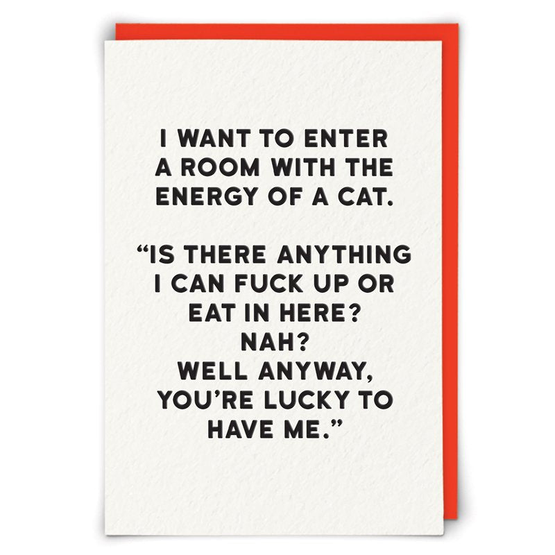 Card -Cat