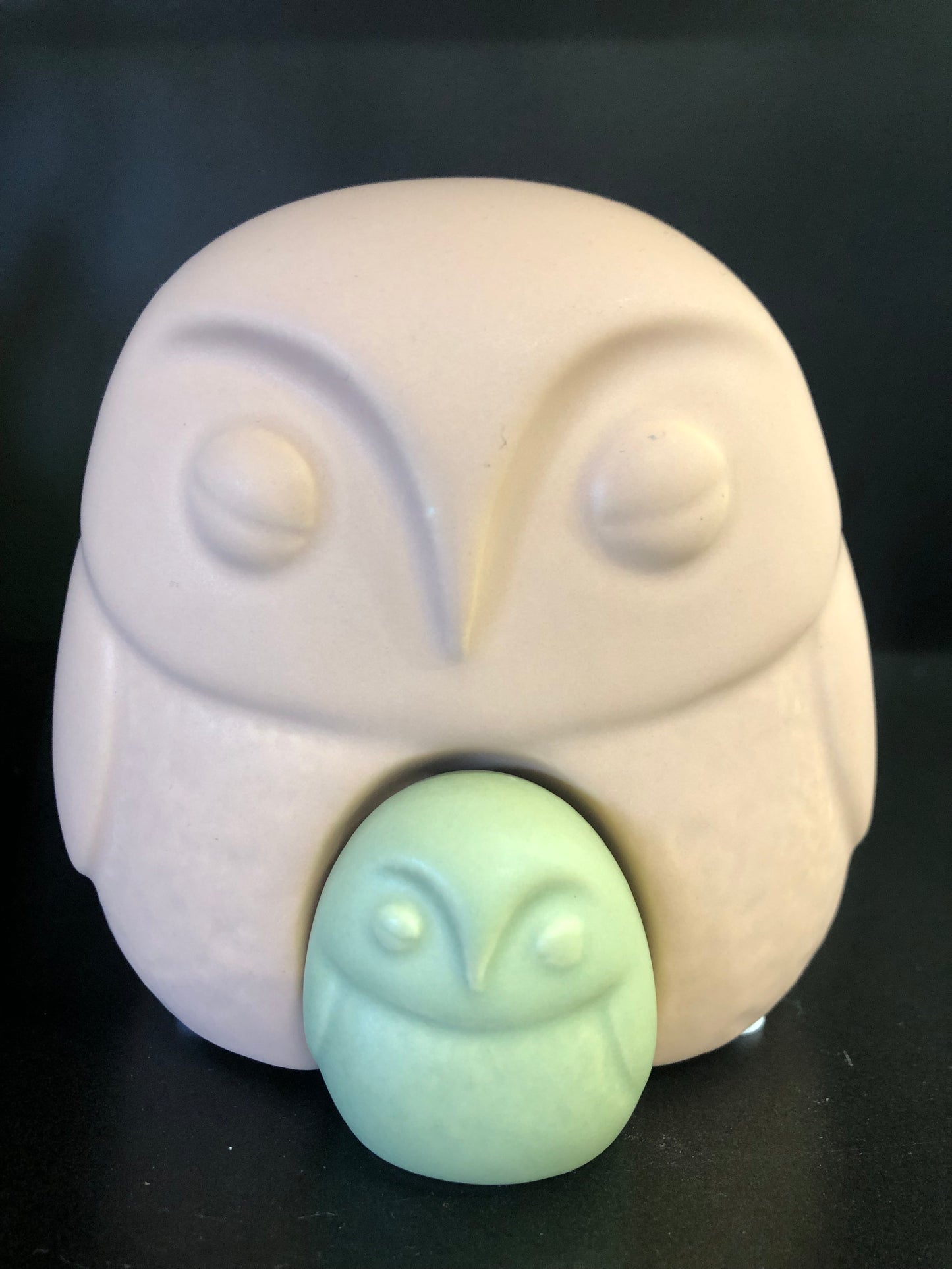 Nesting Owls