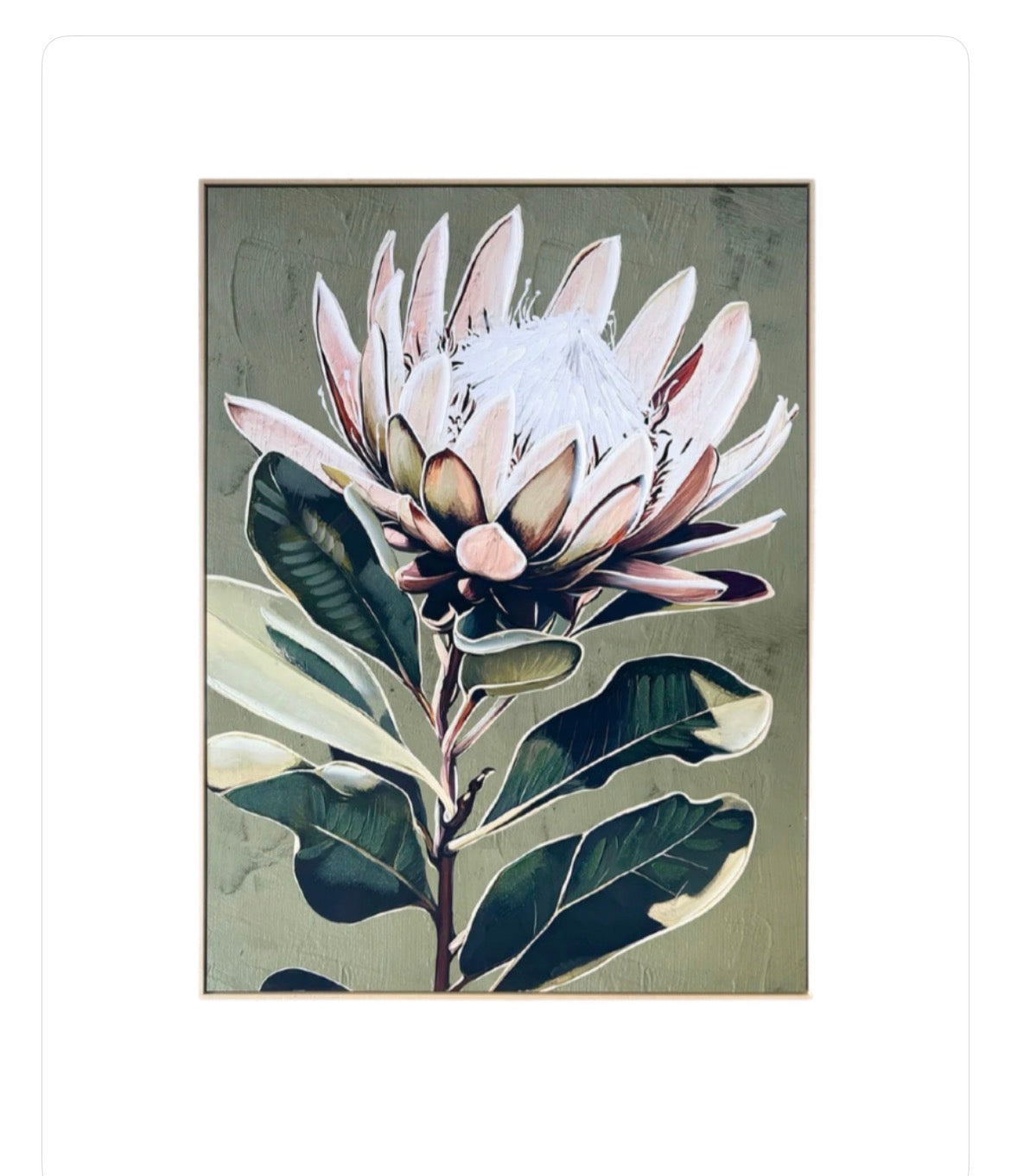 Protea Canvas