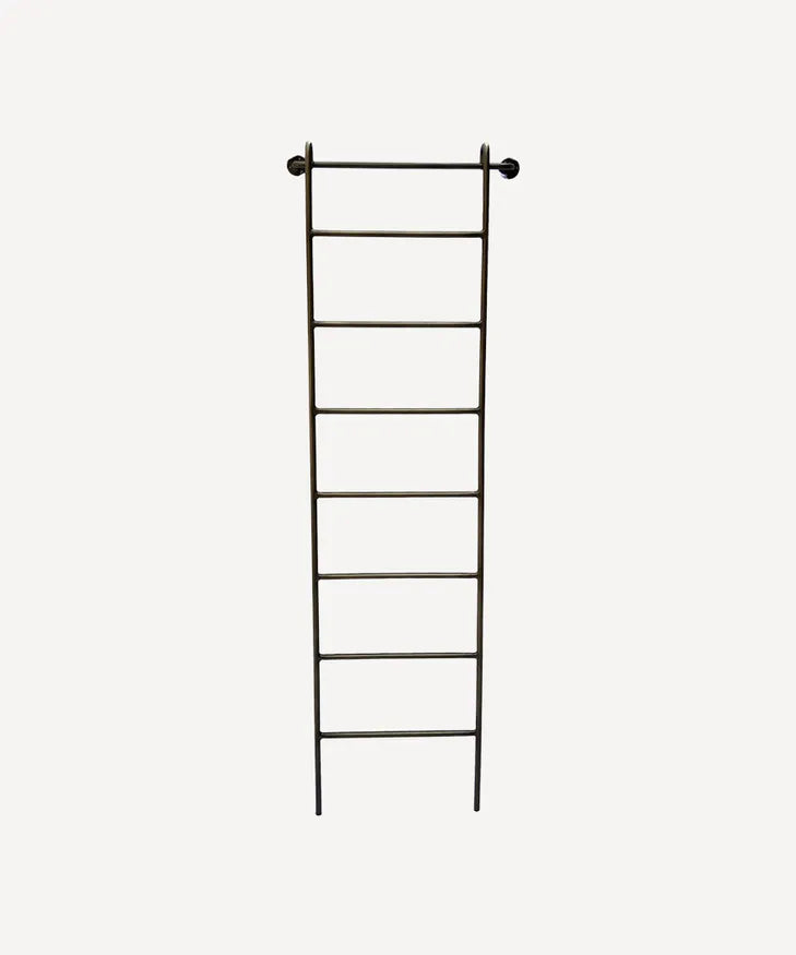 Metal Wall Ladder