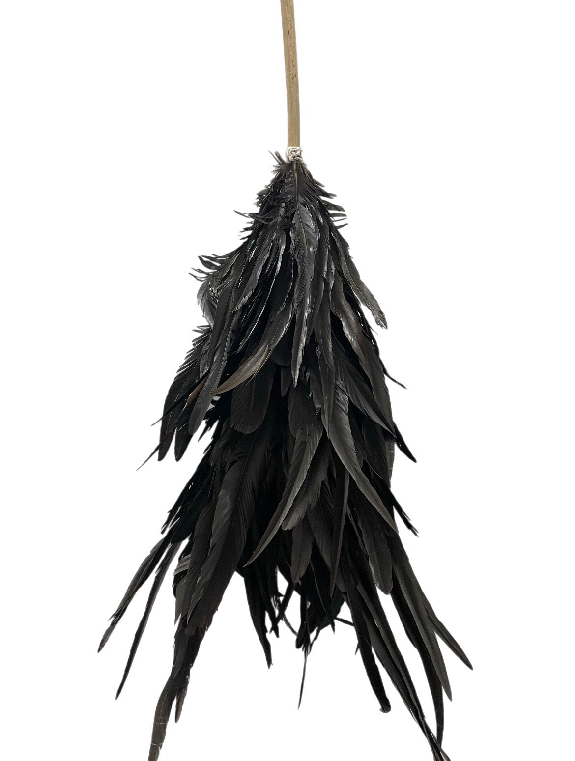 Magnificent Feather Dusters