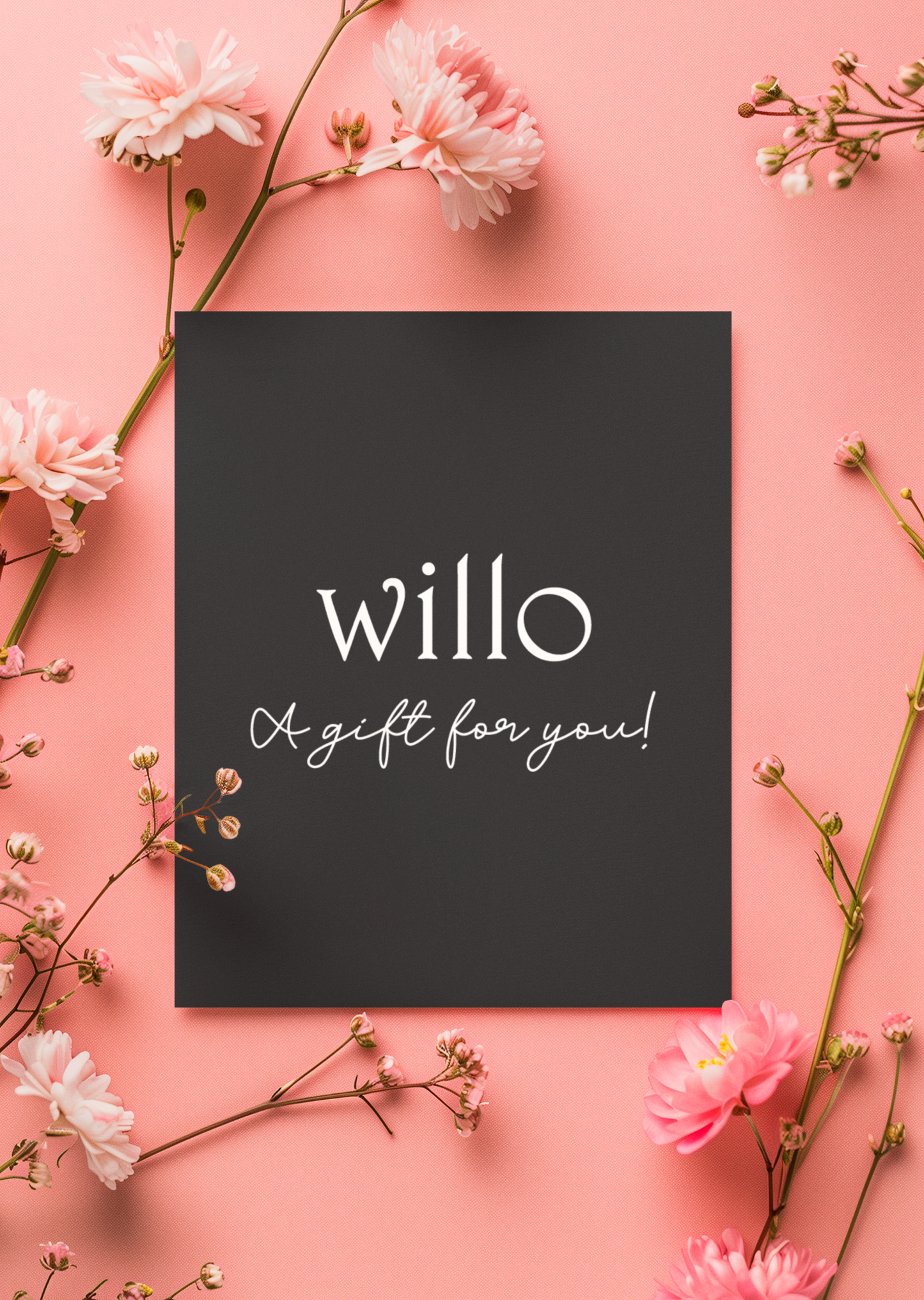 Willo NZ Gift Card