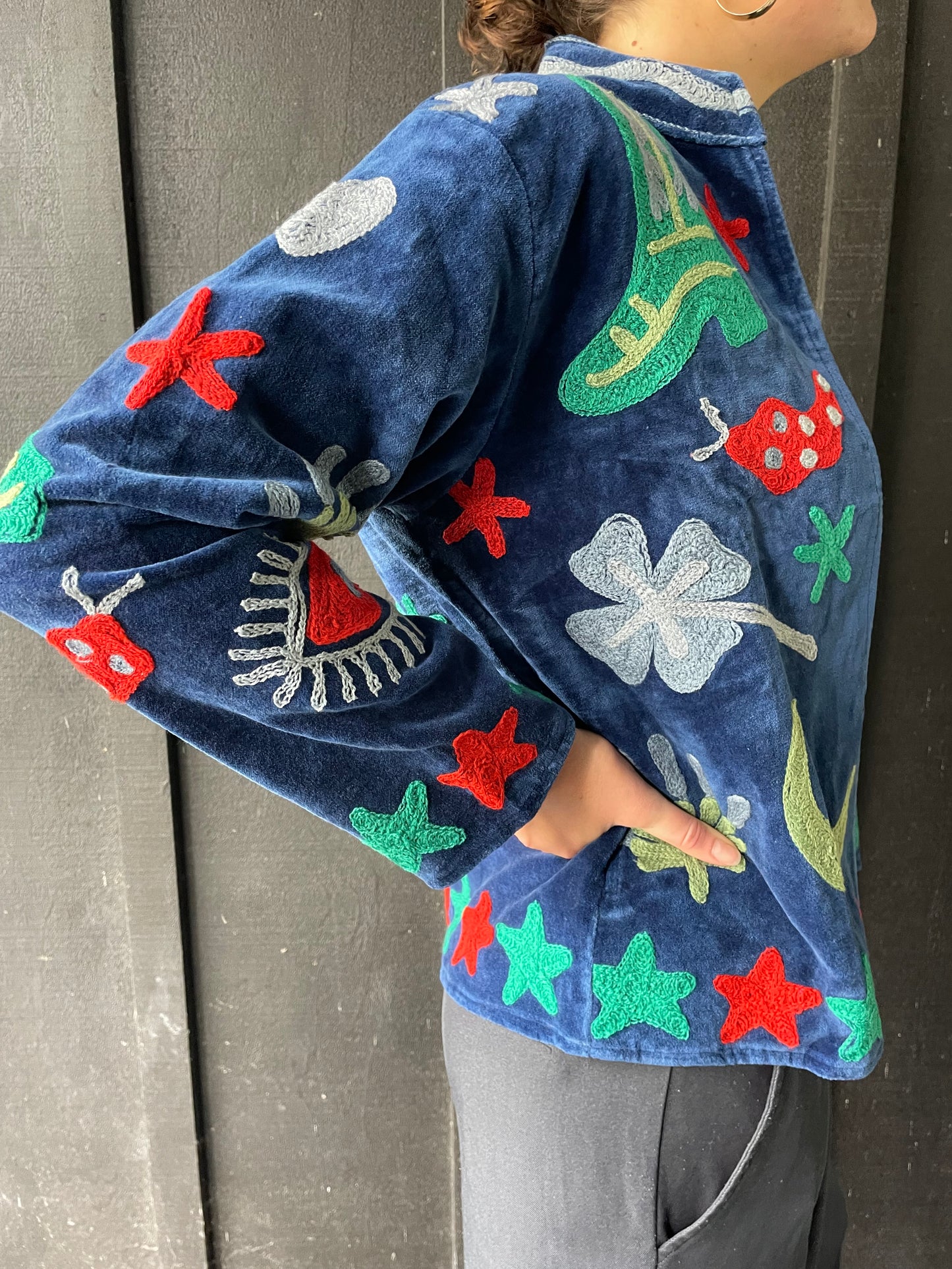 Velvet Jacket - Blue/snake