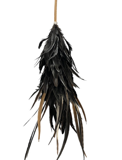Magnificent Feather Dusters