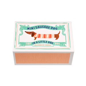 Mini Sausage Dog In A Little Box