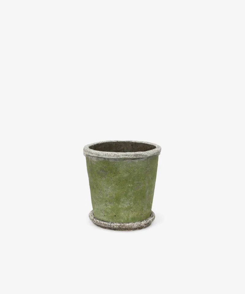 Evergreen Plant Pot & Saucer Small