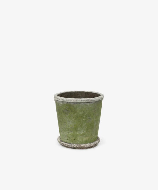 Evergreen Plant Pot & Saucer Small