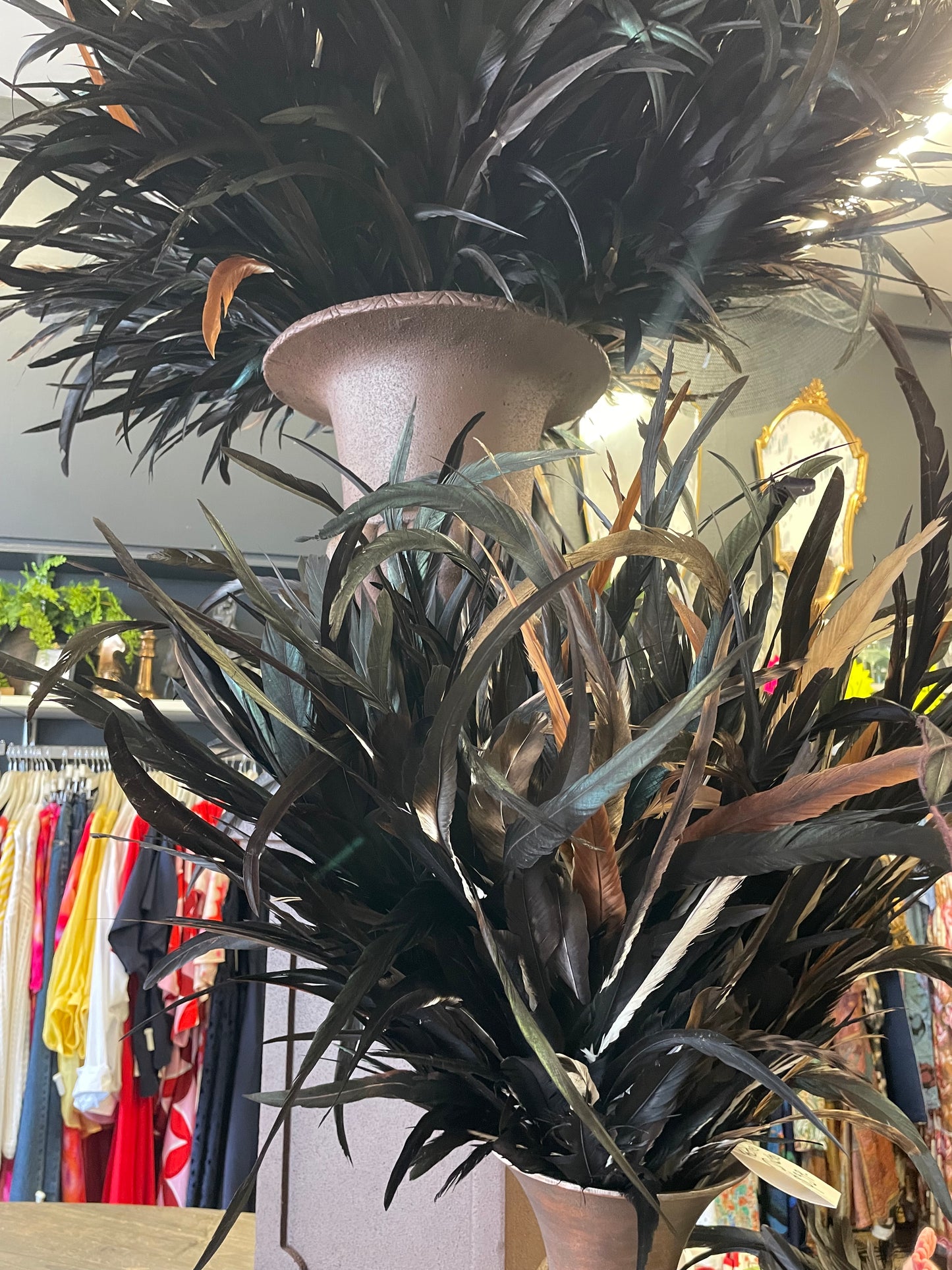 Magnificent Feather Dusters