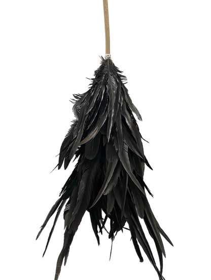 Magnificent Feather Dusters